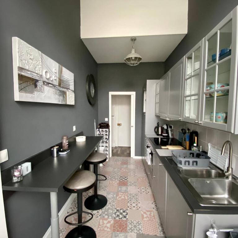 GRAND APPARTEMENT DE STYLE HAUSSMANNIEN - Appartement 2 Chambres - 13