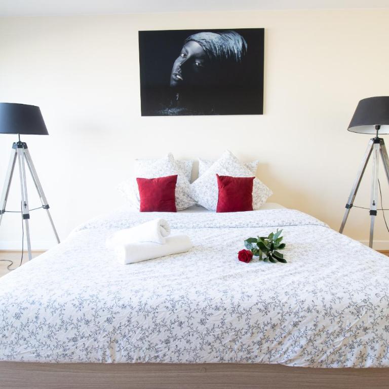Spacieux proche Gare et Cathédrale - Appartement 1 Chambre - 8