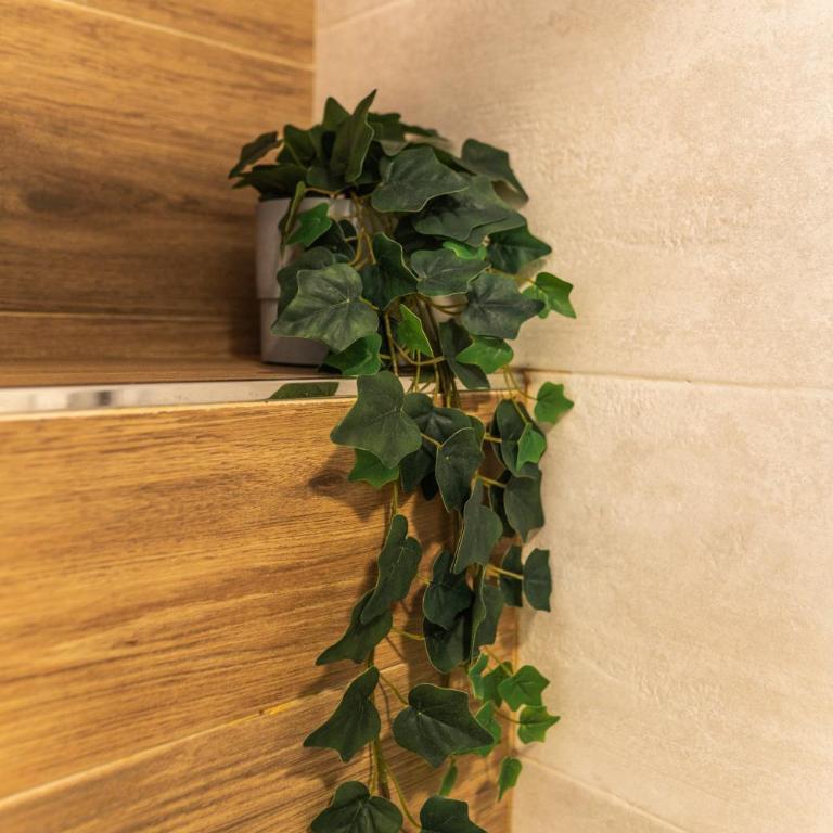 Mina50 by 7Escalones - Apartamento Dúplex - 44