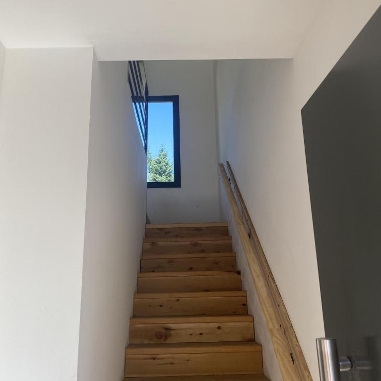 Patagonialiv - Casa de 2 dormitorios - 10
