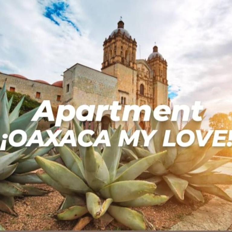 Moderno y Tradicional, elegante departamento en Oaxaca - Apartamento de 2 dormitorios - 14