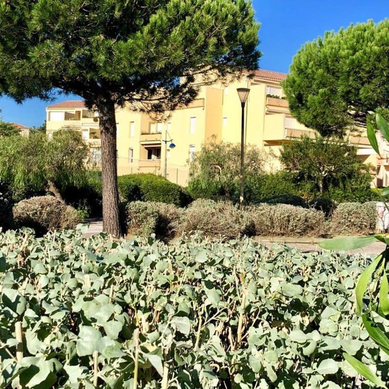 T3 climatisé, 3*, 50m de la plage, garage, wifi inclus - FR-1-610-37 - Appartamento (4 Adulti) - 2