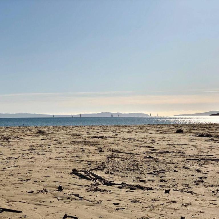 T3 climatisé, 3*, 50m de la plage, garage, wifi inclus - FR-1-610-37 - Appartamento (4 Adulti) - 3