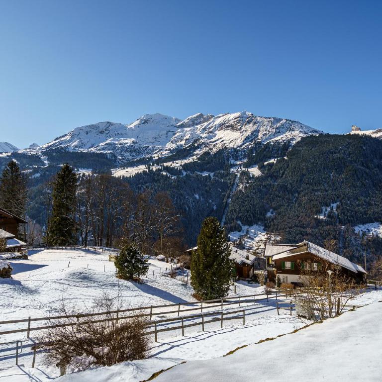 Chalet Bergrose 1 - Apartment mit 2 Schlafzimmern - 22