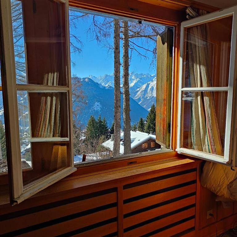 Arche de Noé B&B - Chambre Double avec Salle de Bains Commune - Rez-de-Chaussée - 7