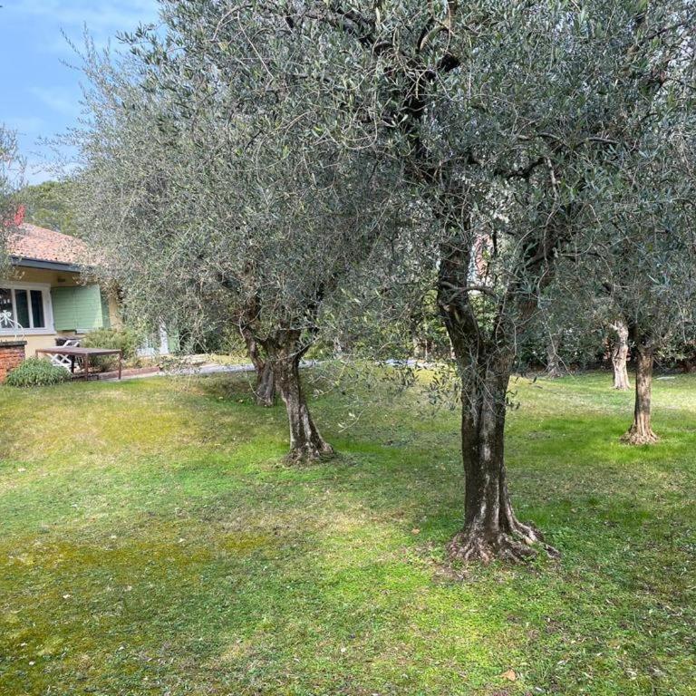 Villa Sweet Flower - with Private Pool and Garden - Villa - 15
