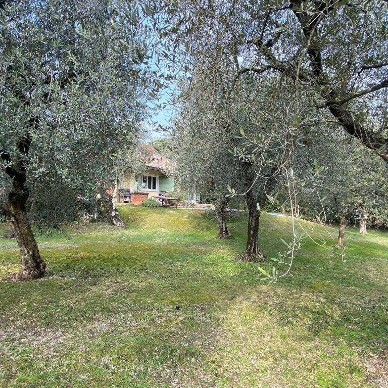Villa Sweet Flower - with Private Pool and Garden - Villa - 39