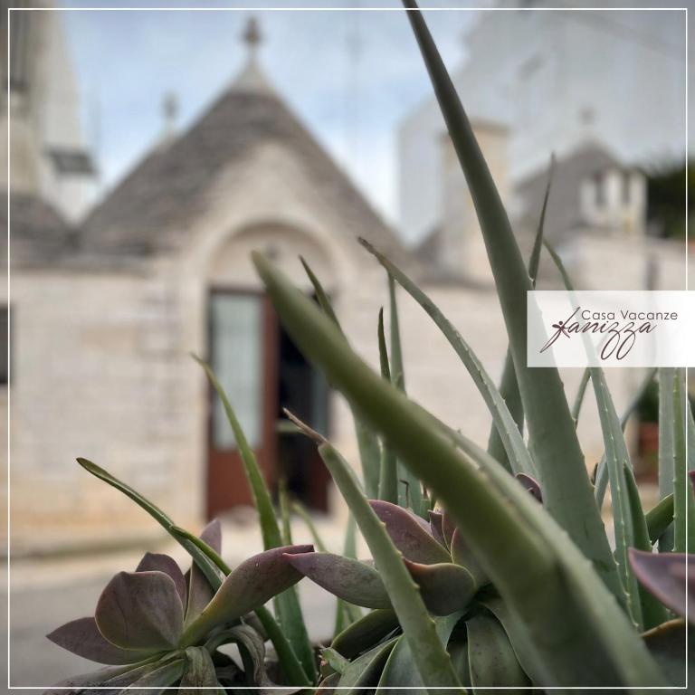 Trullo Cometa - Appartamento con 2 Camere da Letto - 7