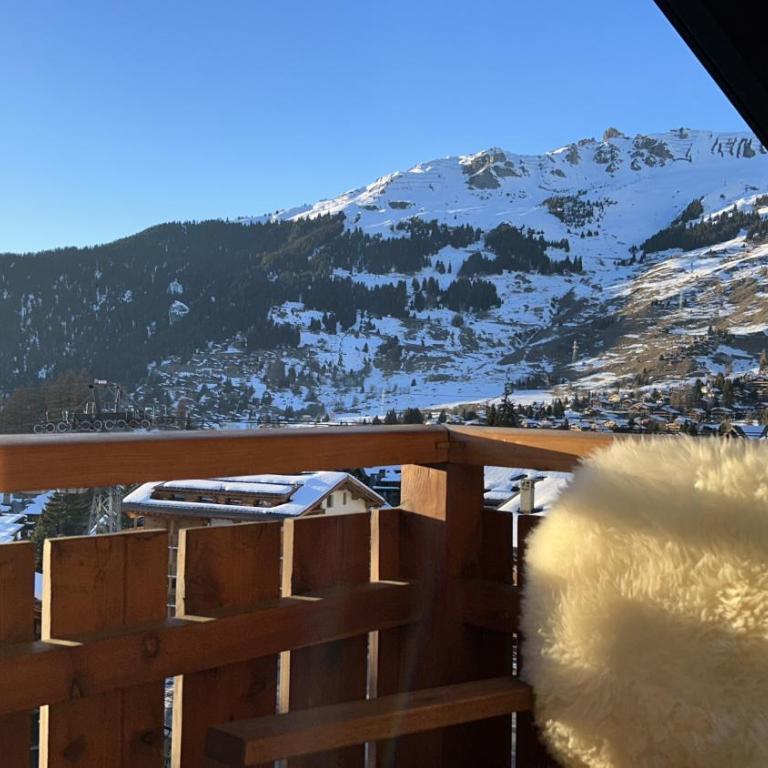 Avouitzons Medran Apartments - Ski-in Ski-out 30 meters from Medran lift and 40 meters from W Hotel - Penthouse - 5