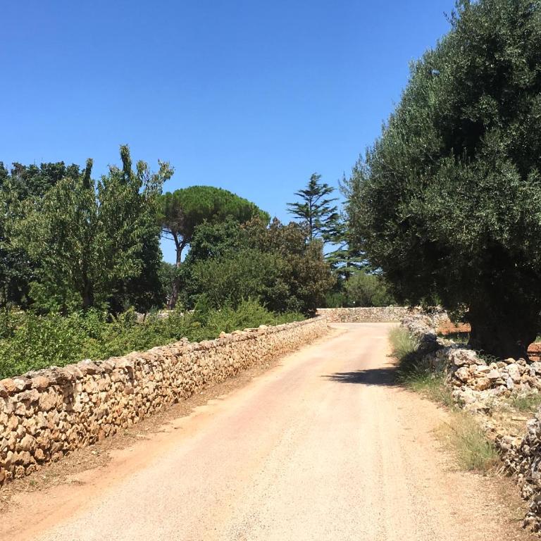 NEW SHEPHERD HOUSE, CAROVIGNO, 2 Adults + 1 child - Casa con 1 Camera da Letto - 46