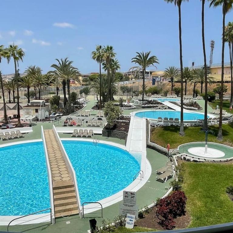 Apartment PM237 - Paraiso Maspalomas - Apartamento de 1 dormitorio - 5