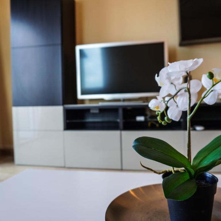 Las Vistas Beach Paradise - Apartamento de 2 dormitorios - 24
