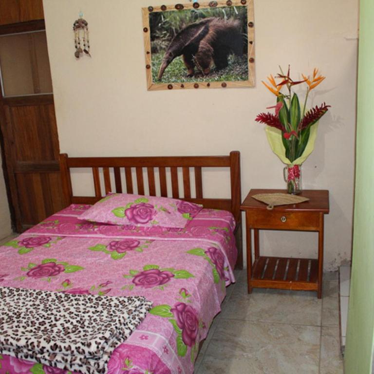 Villa Hermosa de Tambopata Casa Hospedaje & Hostel - Habitación Individual con baño privado - 2