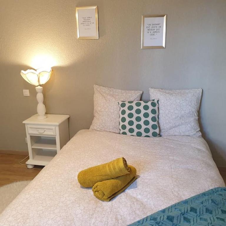 Cosy Opal - T3 - Terrasse & Stationnement gratuit - Appartement 2 Chambres - 7