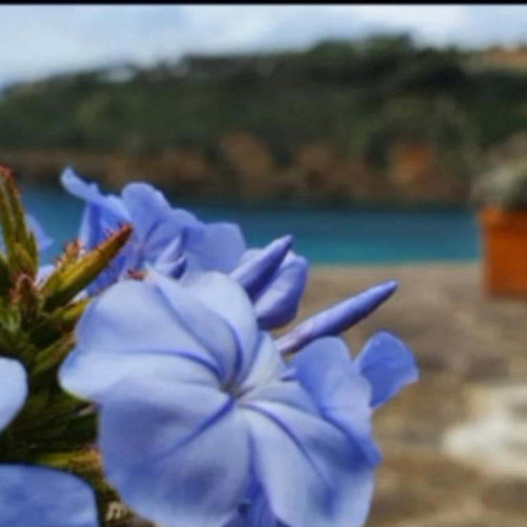 Rosa dei Venti - Appartamento con Vista Mare - 62