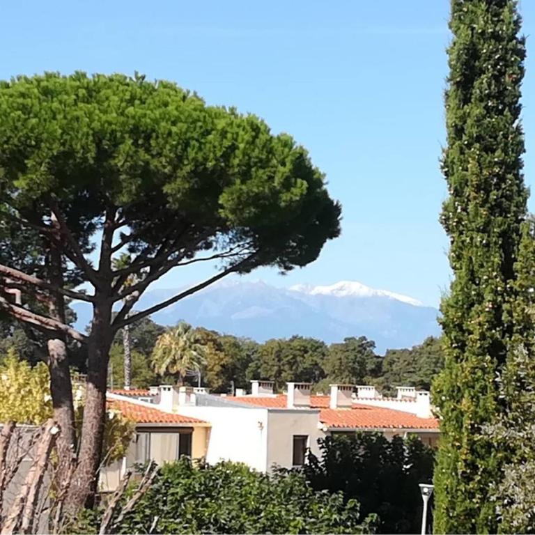 Studio Cabine à Argelès-sur-Mer, proche plage, avec parking - FR-1-388-188 - Studio - 11