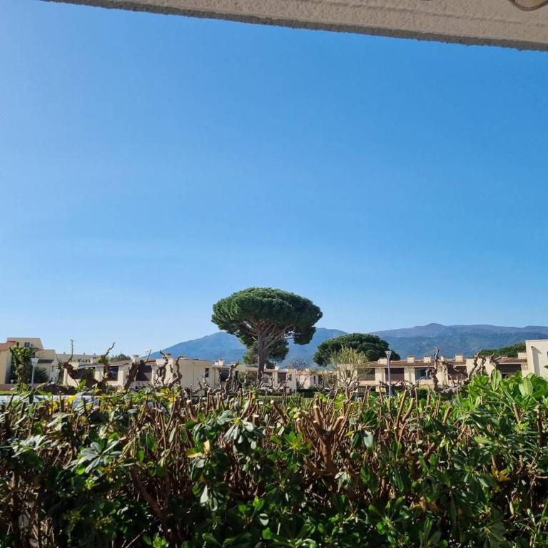 Studio cabine 4 pers. RDC, terrasse sud, 300m plage et commerces - FR-1-388-205 - Studio - 10
