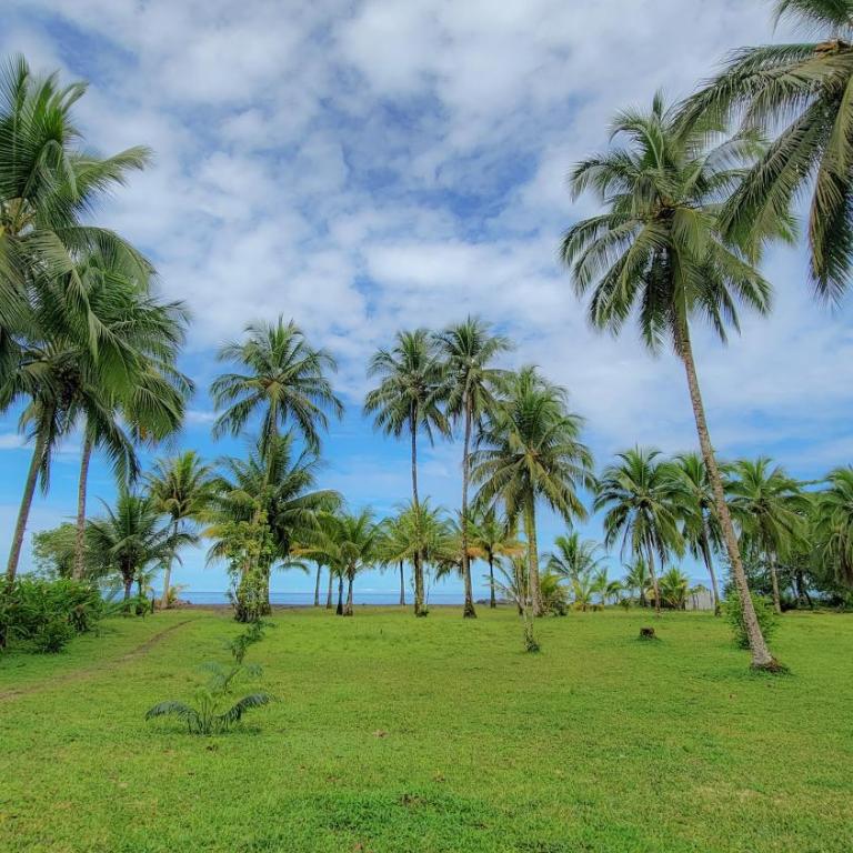 Cocoloco's Lodge - Family Bungalow - 7
