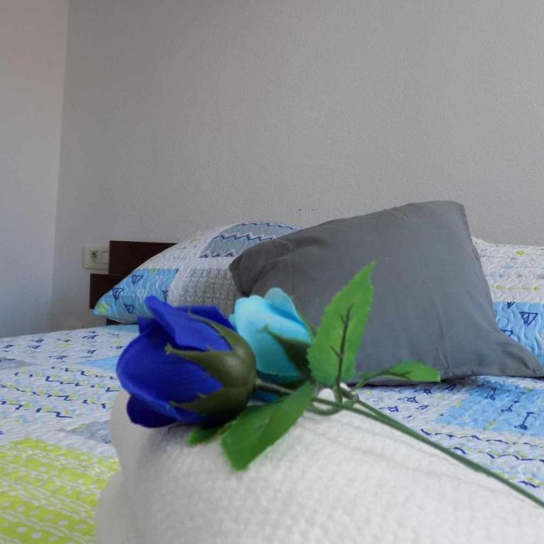 La Farola Centro de Málaga con Parking 445 Max - Apartamento de 2 dormitorios - 30