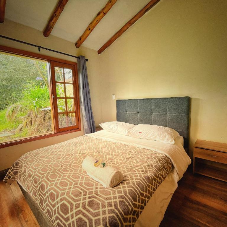 The Naked House - Hotel Nudista - Habitación Doble con vistas al jardín - 3