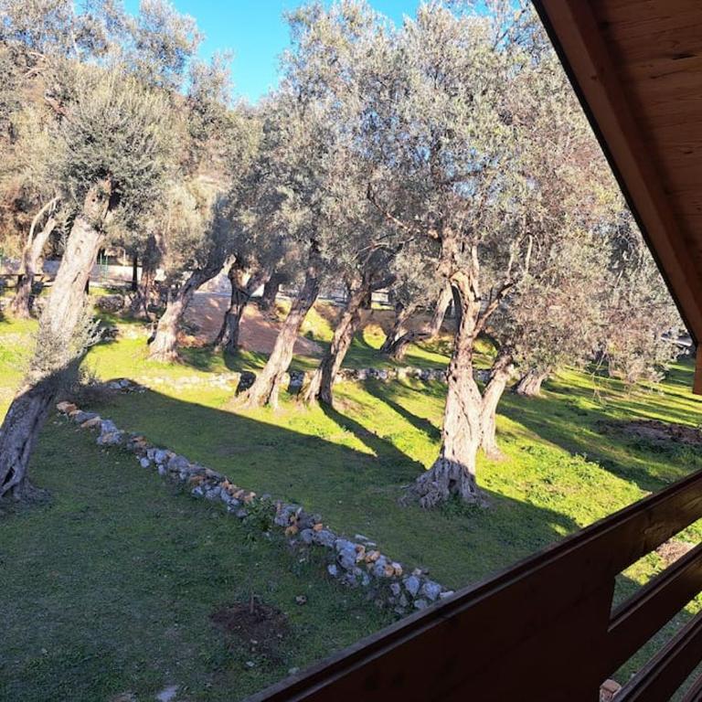 Olive & sea, Luxury two bedrooms cabin for 8 - Kuća sa 2 Spavaće Sobe - 11