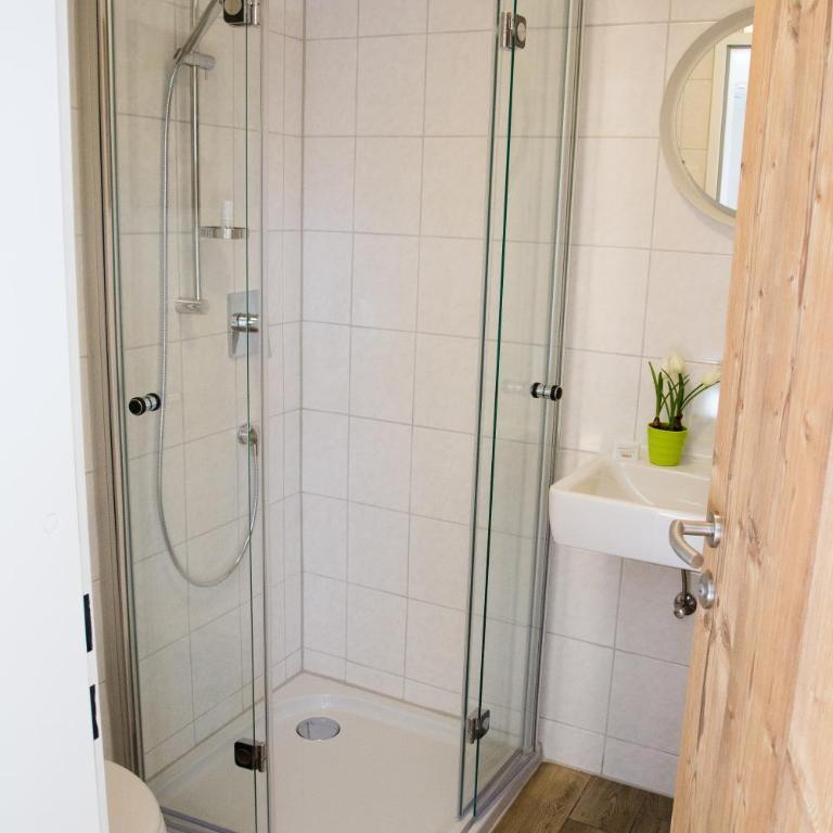 Haidegger Appartements - Studio-Apartment 2 - 4
