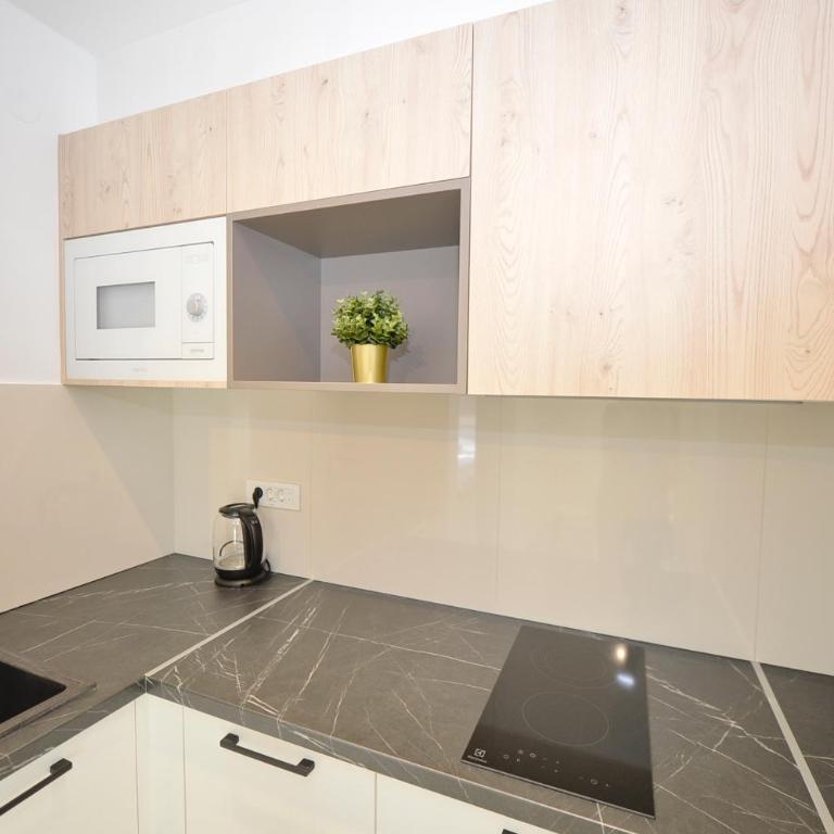 Solaris Lux Apartments - Apartman sa 1 Spavaćom Sobom - 25