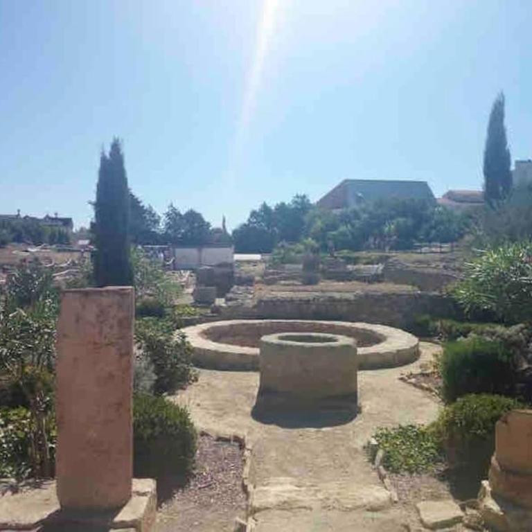 Soleil Sucré T2 Centre historique de Narbonne - Apartment mit 1 Schlafzimmer - 46