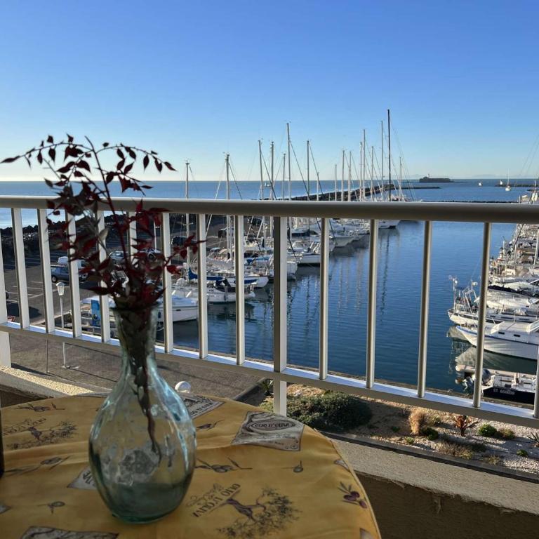 Studio Cabine au Cap d'Agde, Animaux Acceptés, Proche Plage - FR-1-702-49 - Studio - 1