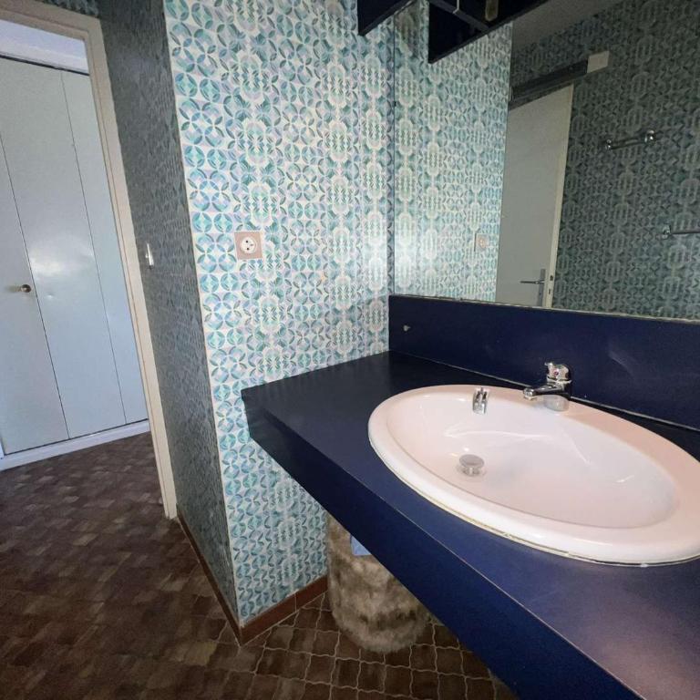 Studio Cabine au Cap d'Agde, Animaux Acceptés, Proche Plage - FR-1-702-49 - Studio - 12