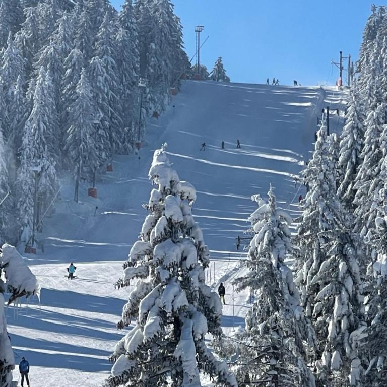 Woodside Kopaonik & SPA by Slopeview - One-Bedroom Apartment - 21