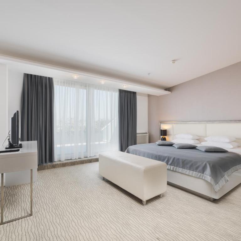 Hotel Aurel - Deluxe Suite - 7