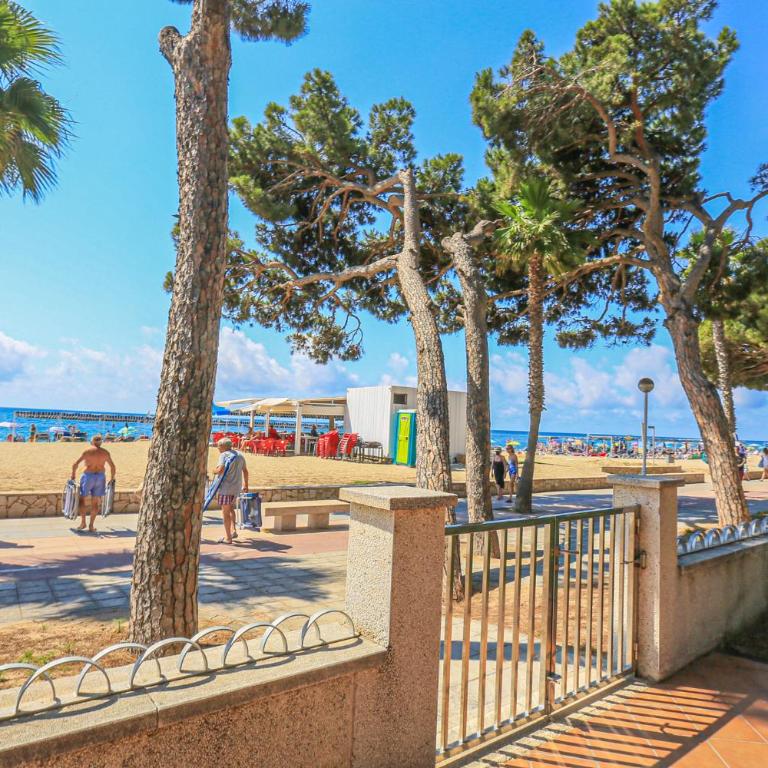 LITORAL COSTA DORADA - PINS i MAR 3 7 - Apartment - 3