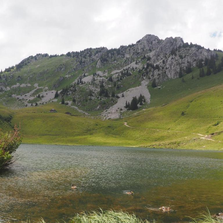 LATITUDE 47 - Chalet - 25