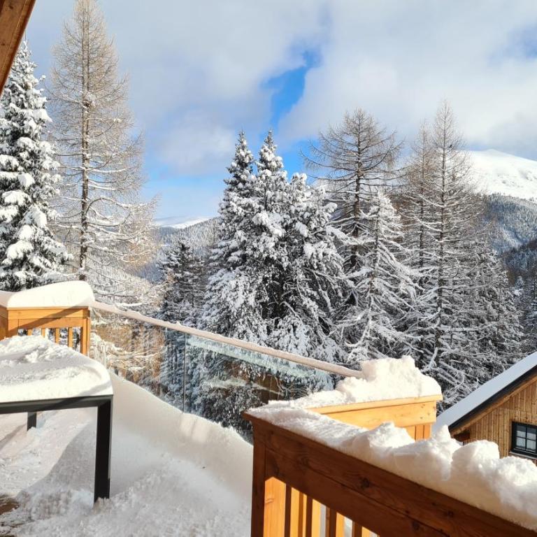Turrach Lodges by ALPS RESORTS - Superior Ferienhaus mit Sauna für bis zu 8 Personen - 11