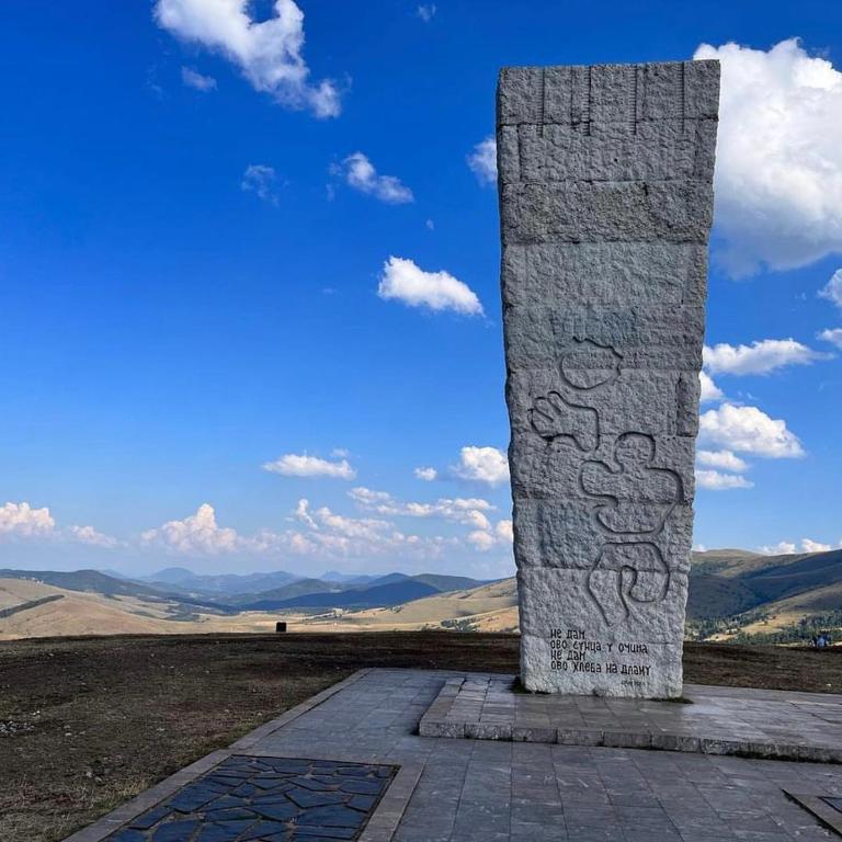 Vila Pekovic, Pine Trees View Apartment with big balcony in The Center of Zlatibor! - Apartman sa Pogledom na Planinu - 25