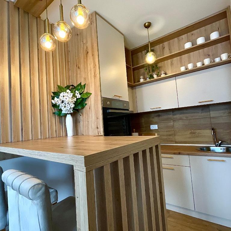 Aleksić Apartmani - Apartman sa 1 Spavaćom Sobom - 17