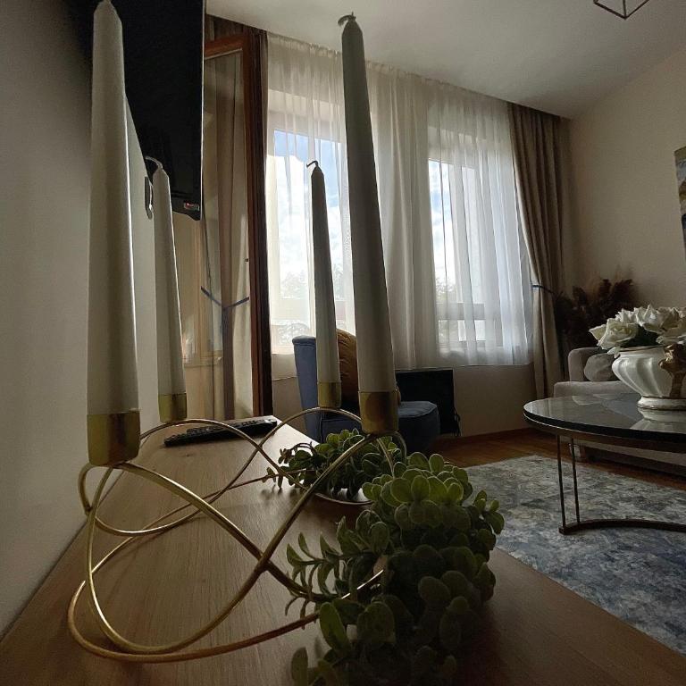 Aleksić Apartmani - Apartman sa 1 Spavaćom Sobom - 22