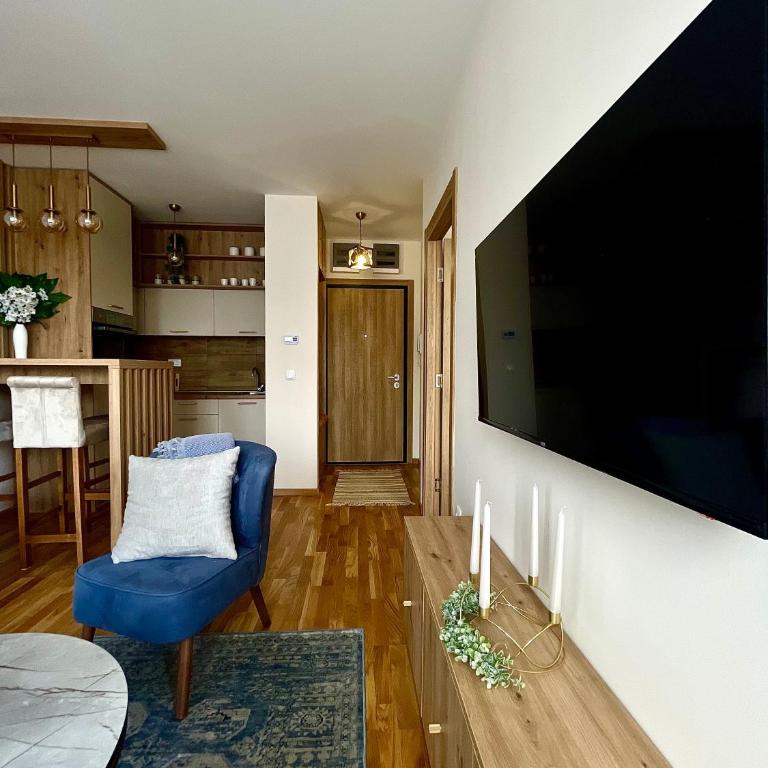 Aleksić Apartmani - Apartman sa 1 Spavaćom Sobom - 28