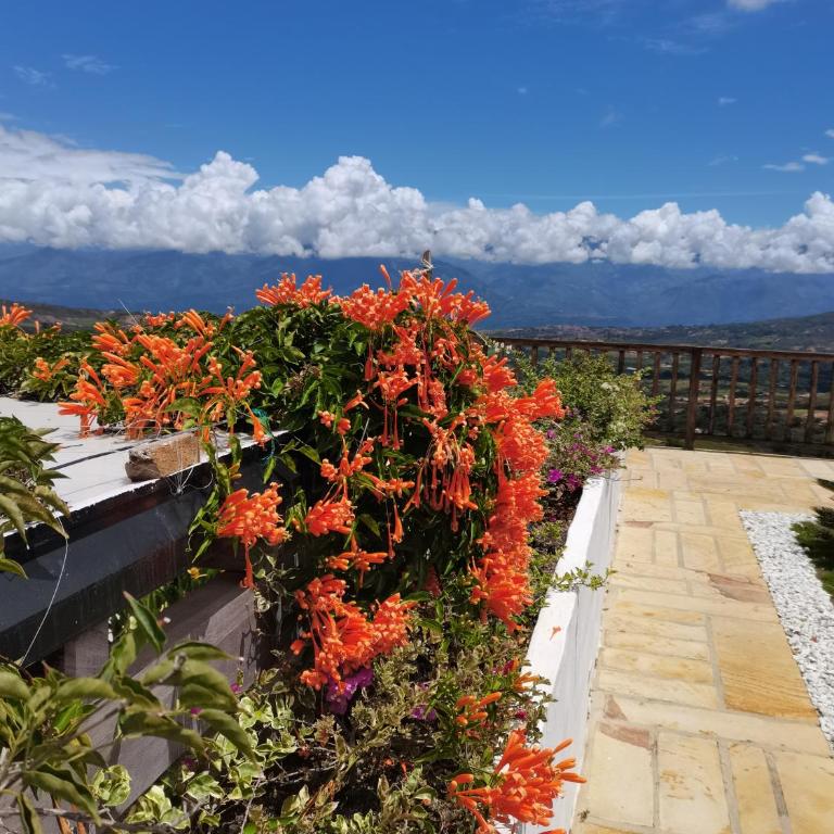 Villa Las Churus la mejor vista a Barichara - Villa - 32