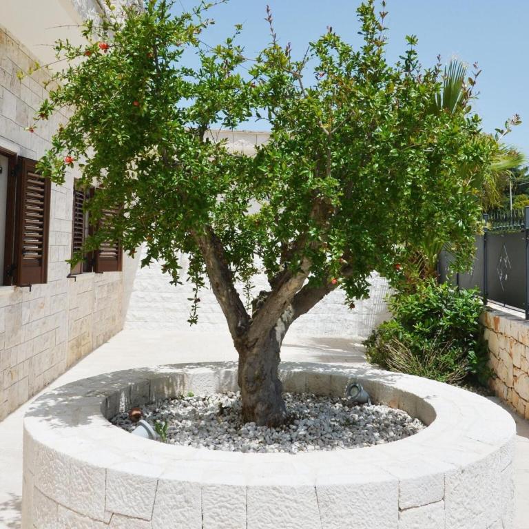 Villa in Apulia with Pool and Barbecue - Casa Vacanze con 4 Camere da Letto - 36