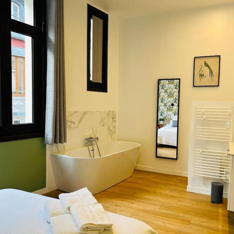 Magnifique Appartement l'Aigrette - Appartement 2 Chambres - 1