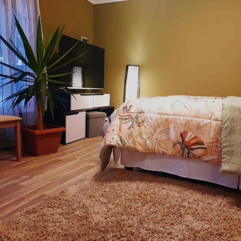 Cabaña Mi calma - Apartamento con terraza - 3