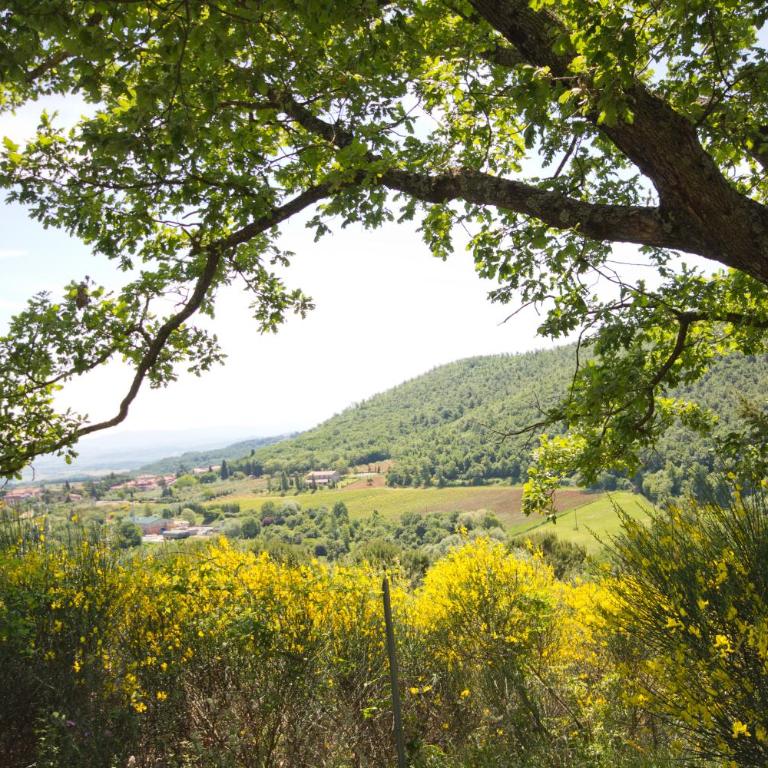 Hotel Panoramic Montepulciano - Camera Matrimoniale Standard - 14