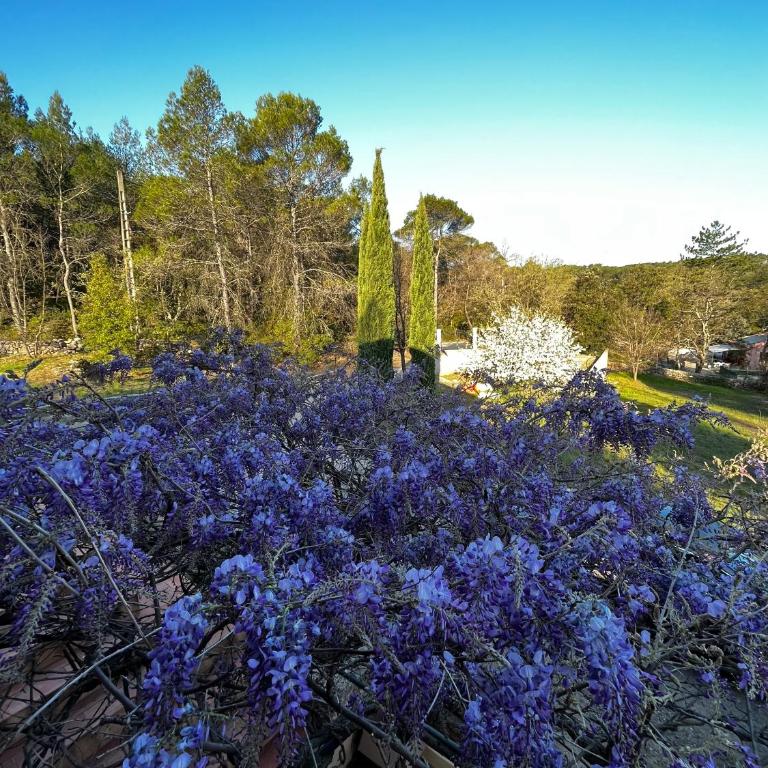 Natur & Jasmin Chambres d'hôtes naturistes en Provence - Chambre Double avec Salle de Bains Privative - 16