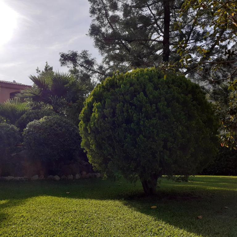 Can Mascarat - Apartamento con vistas al mar - 25