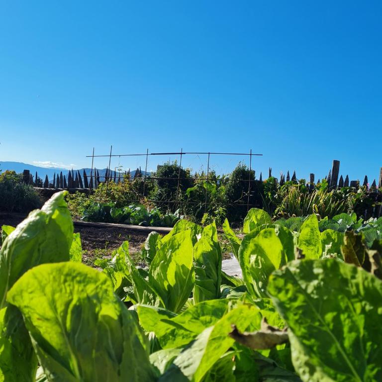 Salmsein Biohof - Appartamento con Vista Giardino - 16