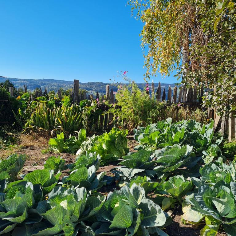 Salmsein Biohof - Appartamento con Vista Giardino - 18