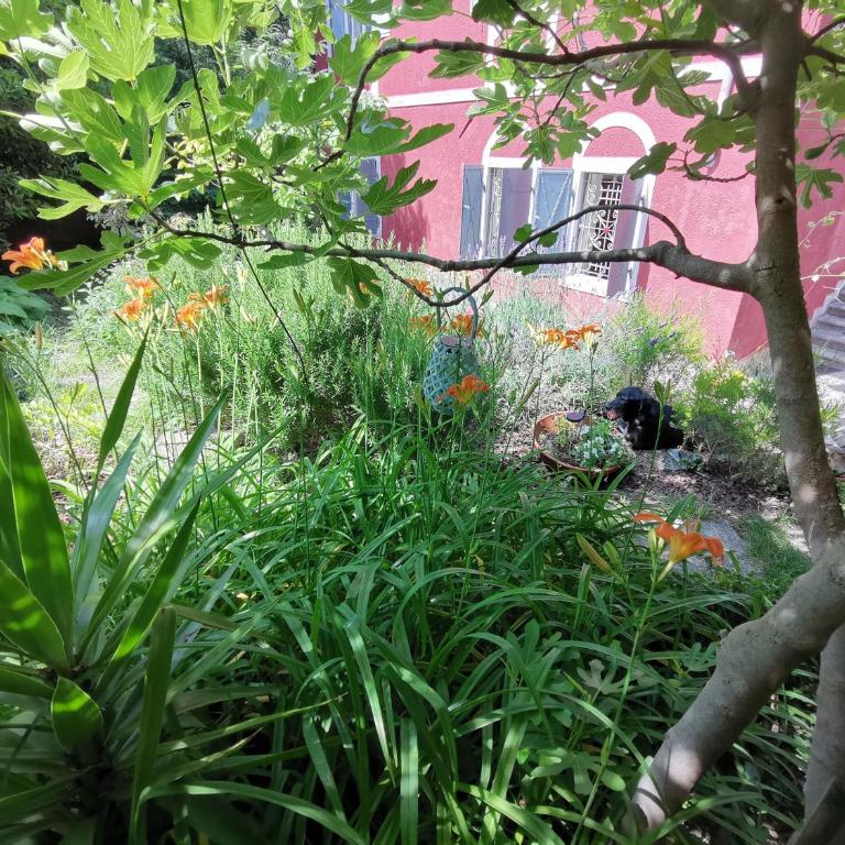 Charming apartment in a 19th century villa - Appartamento con 2 Camere da Letto - 43