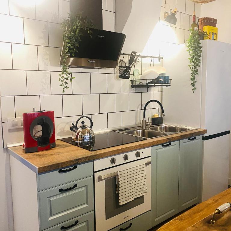 City Park Center 5 - One-Bedroom Apartment - 5